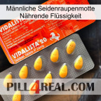 Männliche Seidenraupenmotte Nährende Flüssigkeit new01